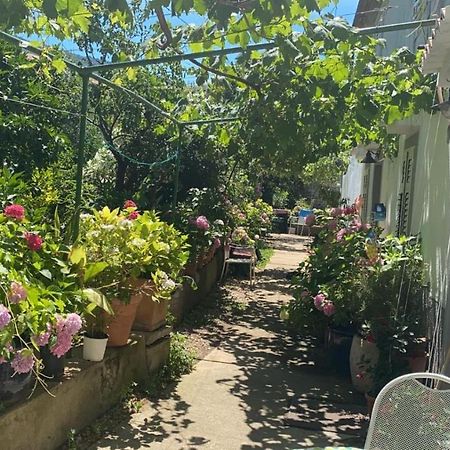 Apartman Annamaria Cres Bagian luar foto