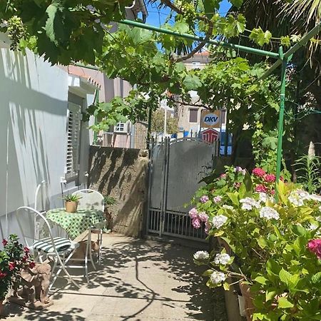 Apartman Annamaria Cres Bagian luar foto